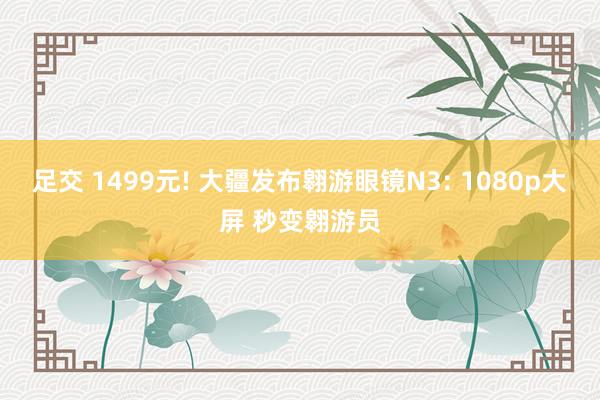 足交 1499元! 大疆发布翱游眼镜N3: 1080p大屏 秒变翱游员