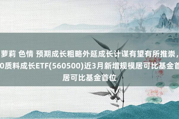 萝莉 色情 预期成长粗略外延成长计谋有望有所推崇，500质料成长ETF(560500)近3月新增规模居可比基金首位