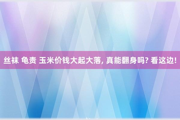 丝袜 龟责 玉米价钱大起大落， 真能翻身吗? 看这边!