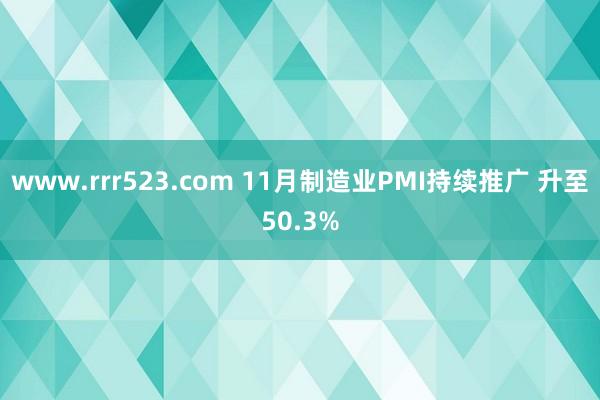 www.rrr523.com 11月制造业PMI持续推广 升至50.3%