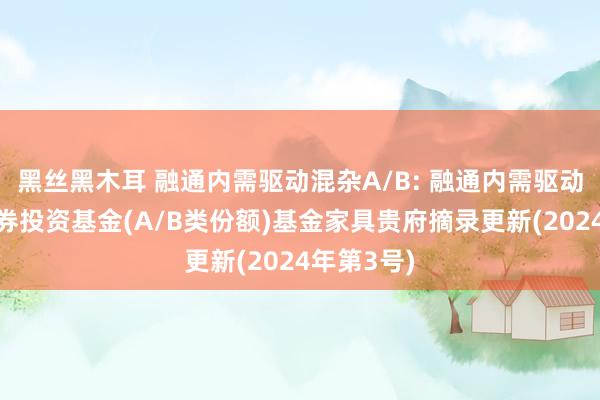 黑丝黑木耳 融通内需驱动混杂A/B: 融通内需驱动混杂型证券投资基金(A/B类份额)基金家具贵府摘录更新(2024年第3号)