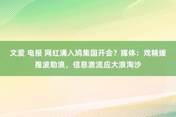 文爱 电报 网红涌入鸠集国开会？媒体：戏精媛推波助浪，信息激流应大浪淘沙