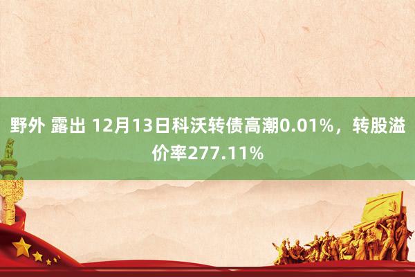 野外 露出 12月13日科沃转债高潮0.01%，转股溢价率277.11%