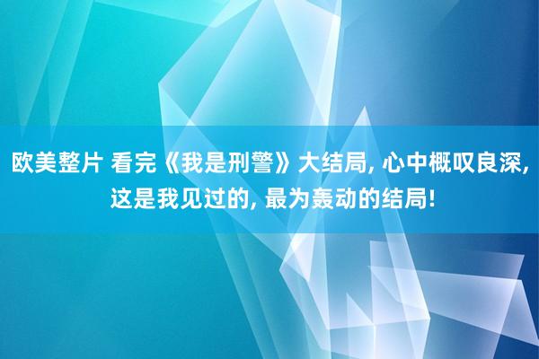 欧美整片 看完《我是刑警》大结局， 心中概叹良深， 这是我见过的， 最为轰动的结局!