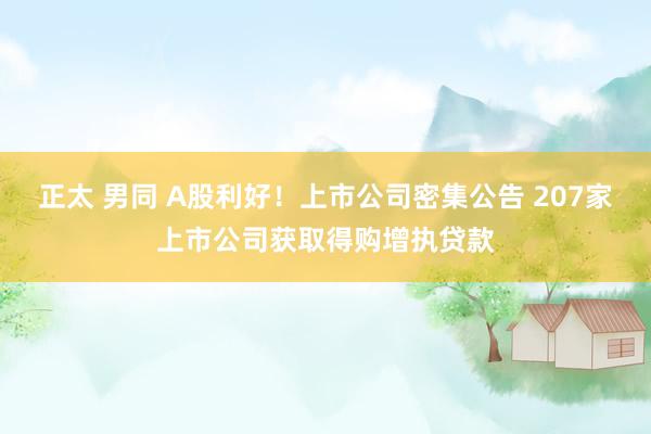 正太 男同 A股利好！上市公司密集公告 207家上市公司获取得购增执贷款