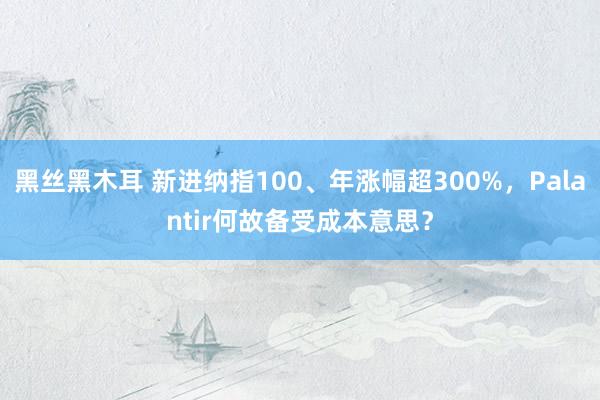 黑丝黑木耳 新进纳指100、年涨幅超300%，Palantir何故备受成本意思？