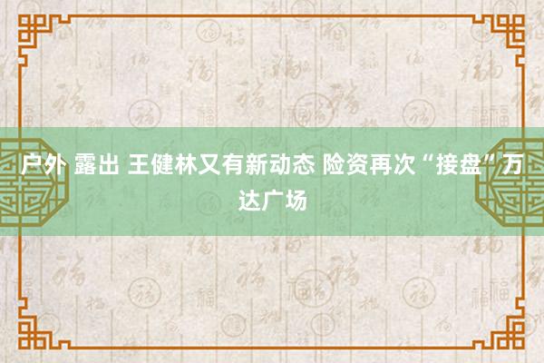 户外 露出 王健林又有新动态 险资再次“接盘”万达广场