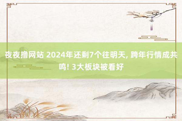 夜夜撸网站 2024年还剩7个往明天， 跨年行情成共鸣! 3大板块被看好