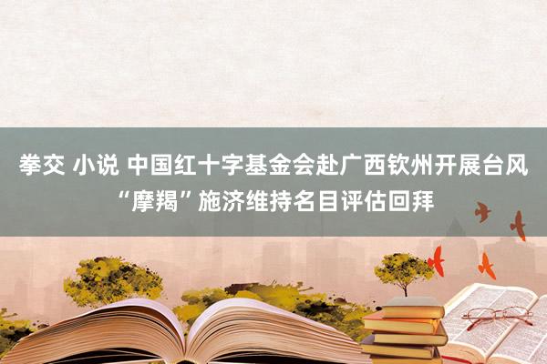 拳交 小说 中国红十字基金会赴广西钦州开展台风“摩羯”施济维持名目评估回拜