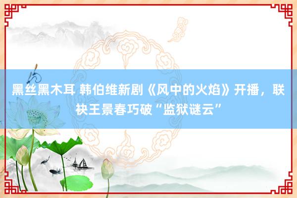 黑丝黑木耳 韩伯维新剧《风中的火焰》开播，联袂王景春巧破“监狱谜云”