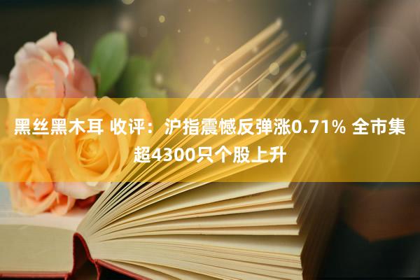 黑丝黑木耳 收评：沪指震憾反弹涨0.71% 全市集超4300只个股上升