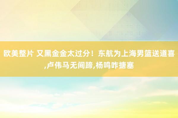 欧美整片 又黑金金太过分！东航为上海男篮送道喜，卢伟马无间蹄，杨鸣咋搪塞