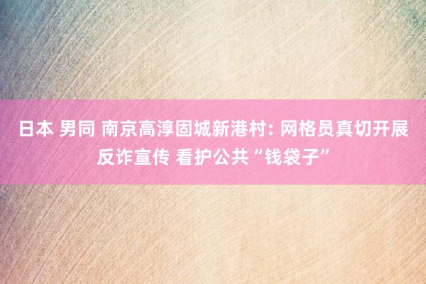 日本 男同 南京高淳固城新港村: 网格员真切开展反诈宣传 看护公共“钱袋子”